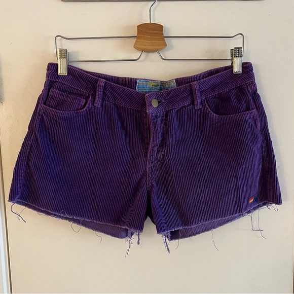 Aviator Nation Pants - Aviator Nation Purple Corduroy Shorts